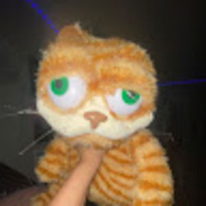 Meet your Posher, Ellie